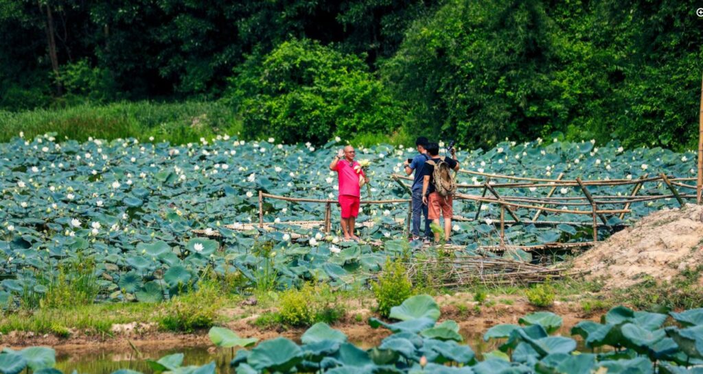 Visiter le village ancien de Phước Tích (Huê) pour découvrir l’artisanat de la poterie