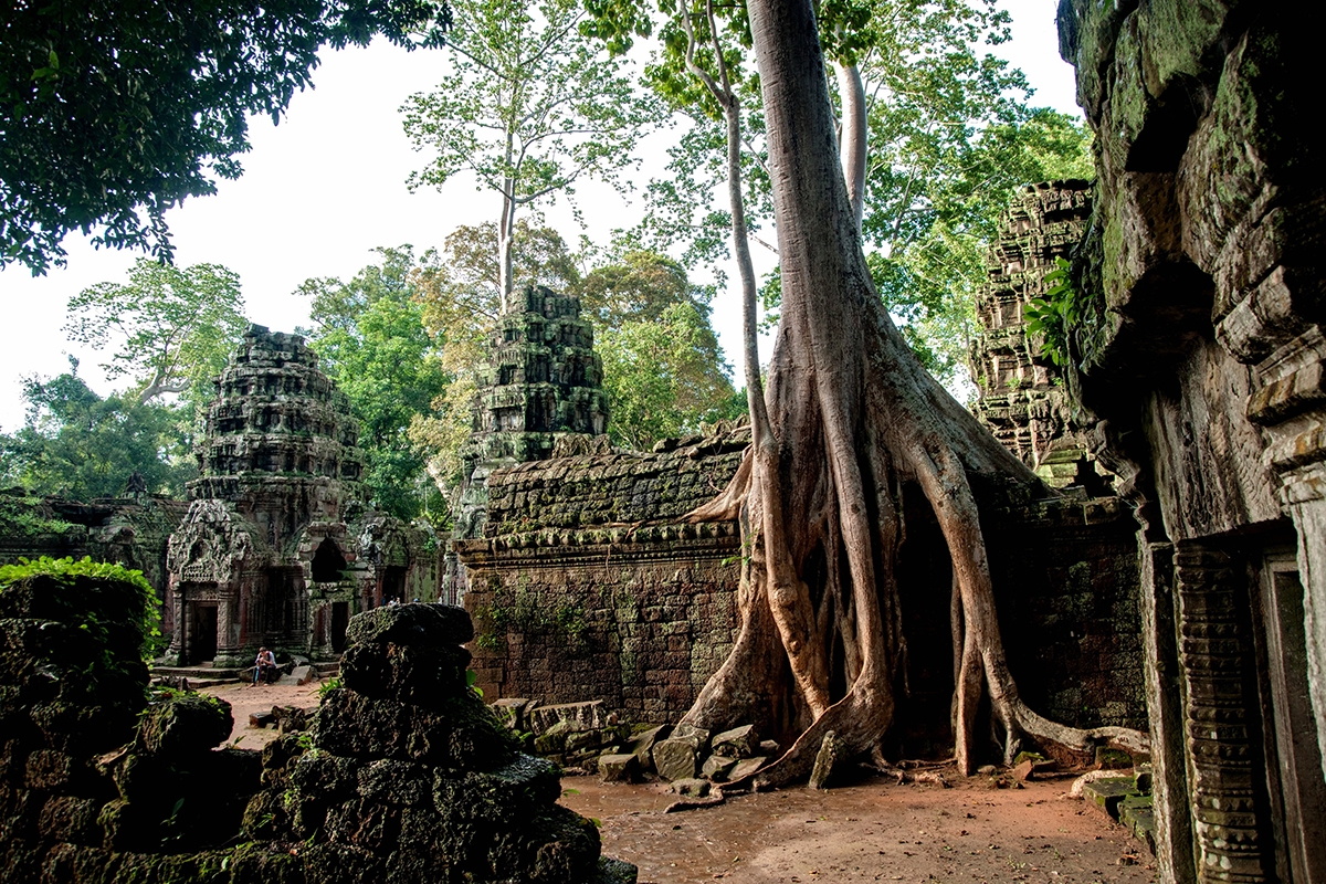 Ruine de temple Angkor, Cambodge