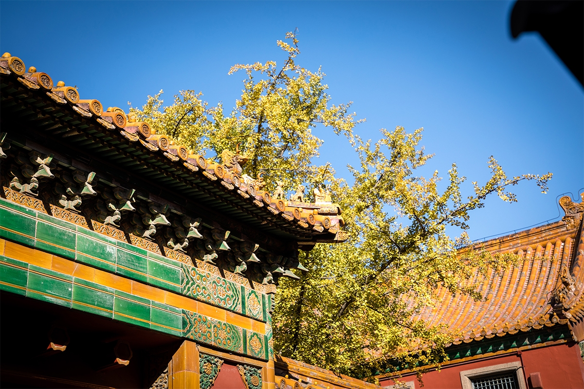 Musée de la Cité Impériale (Pékin) – Trésors impériaux – Asia Novo Tours