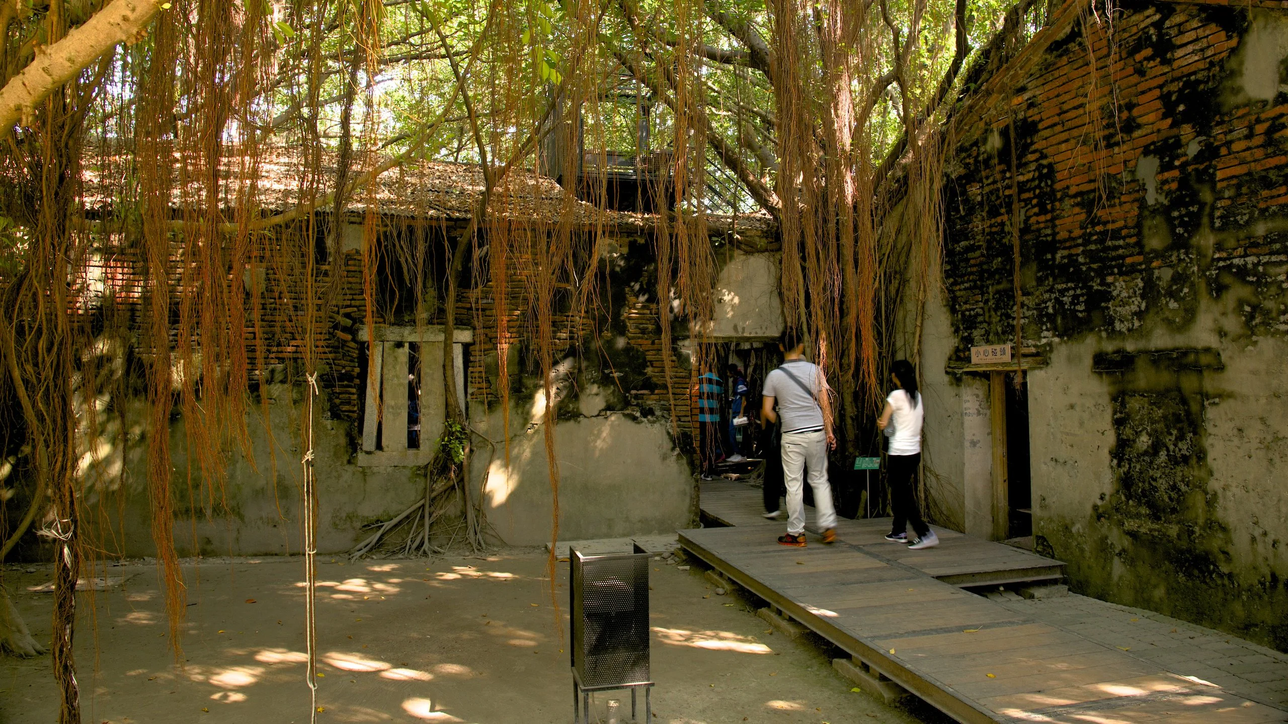 Maison de l'Arbre d'Anping - Attractions de Tainan