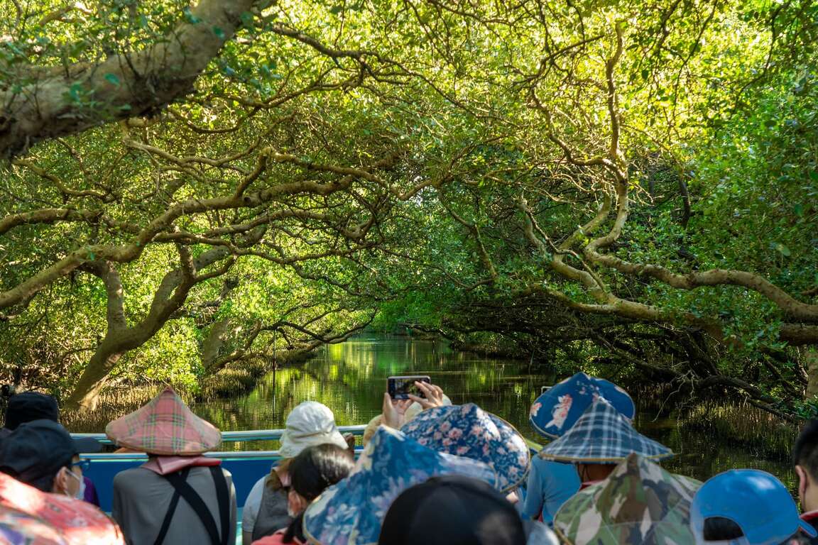 Tunnel vert de Sicao