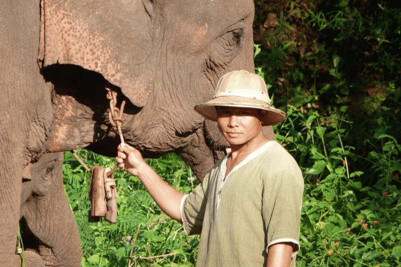 Green Hill Valley - voyage nature en Birmanie, trek et aventure en Birmanie - Asia Novo Tours